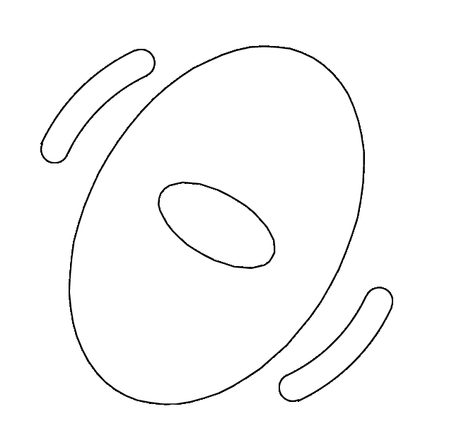 Cocotubaru srl